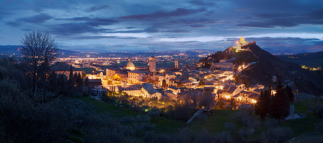 Panorama mit Blick auf die Altstadt von Assisi mit Olivenhain im Vordergrund in der Dämmerung, Assisi, Umbrien, Italien