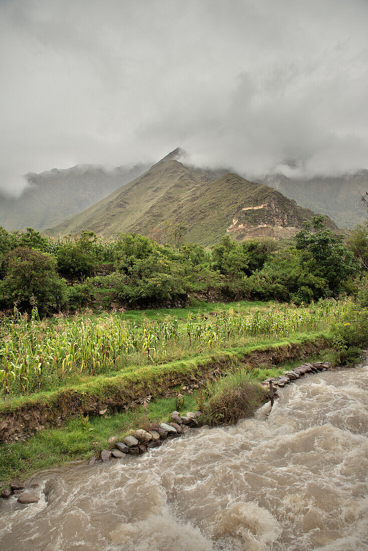 Rapid flowing Urubamba river and green mountains, Aguas Calientes, Cusco, Cuzco, Peru, Andes, South America