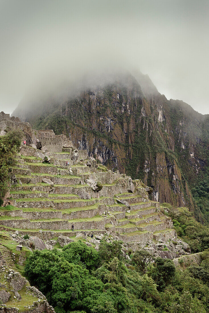 Terassen, Inka Ruinen und Wayna Picchu wolken behangen, Machu Picchu, Cusco, Cuzco, Peru, Anden, Südamerika