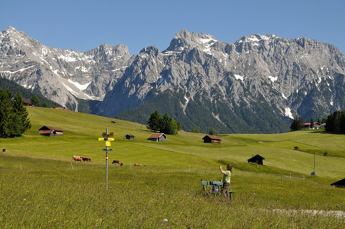 Person hiking in the Buckelwiesen, Karwendelrange near Mittenwald, Bavaria, Germany