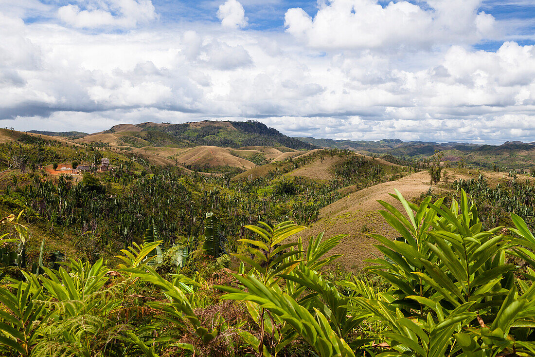 Deforested highlands near Andasibe, East Madagascar, Africa