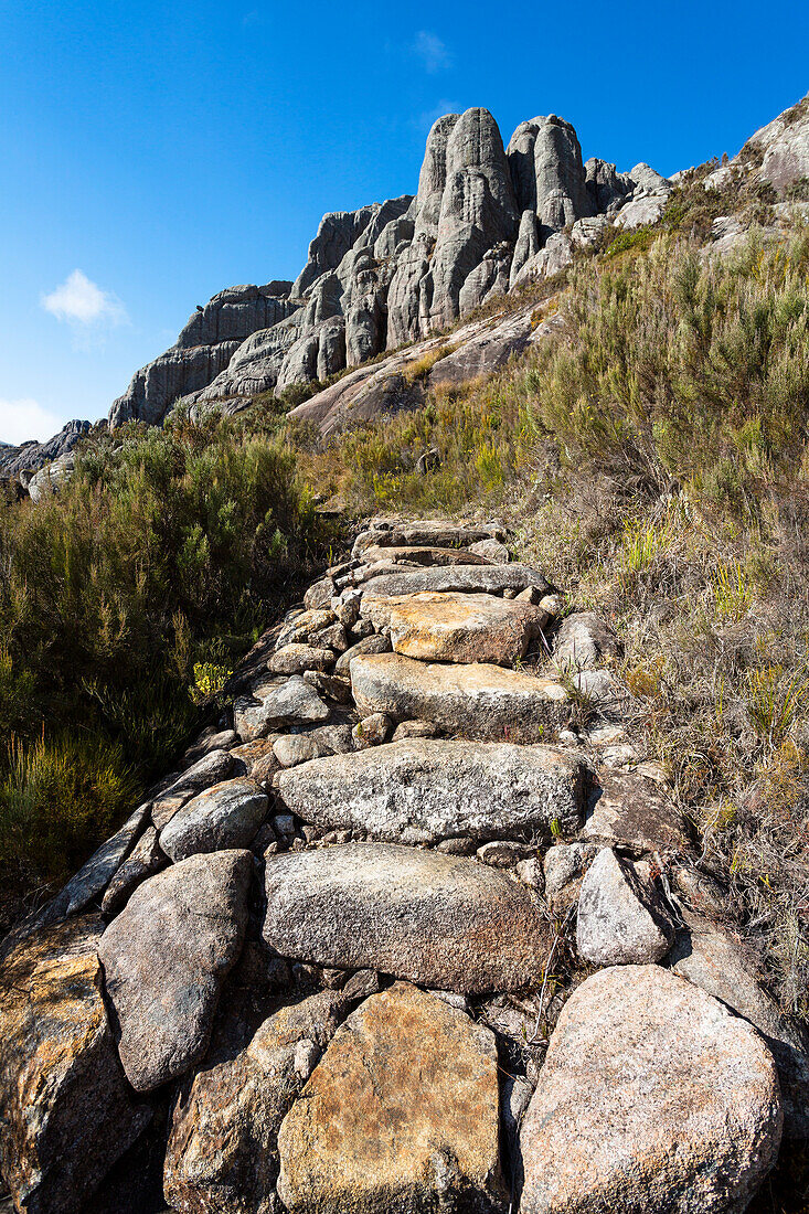 Wanderweg im Andringitra Gebirge, Andringitra Nationalpark, Süd-Madagaskar, Afrika