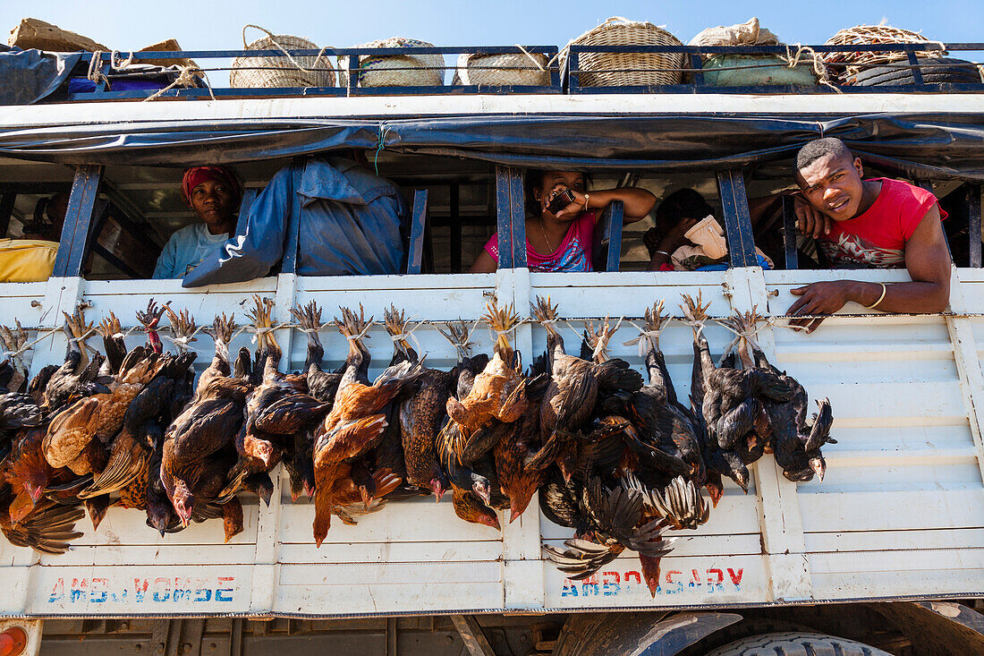 Überlandbus mit Hühnern, Tulear, Süd-west-Madagaskar, Afrika