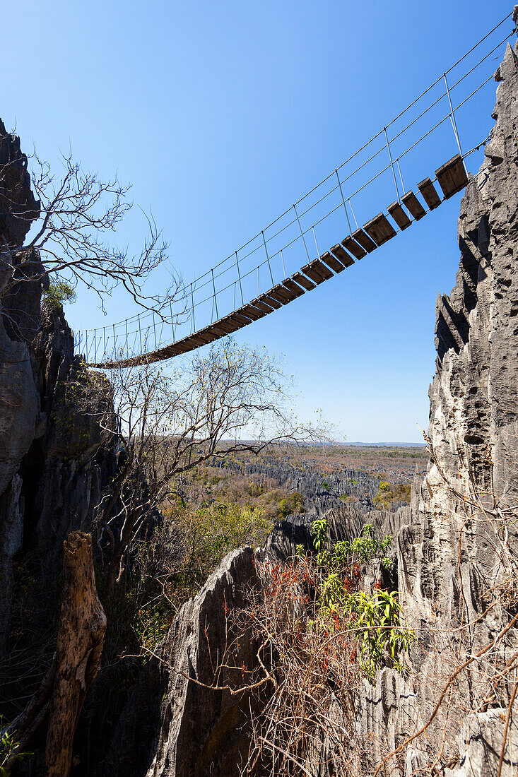 Suspension bridge in Tsingy-de-Bemaraha National Park, Mahajanga, Madagascar, Africa