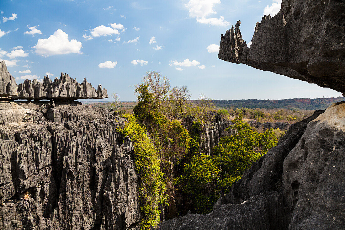 Tsingy-de-Bemaraha National Park, Mahajanga, Madagascar, Africa