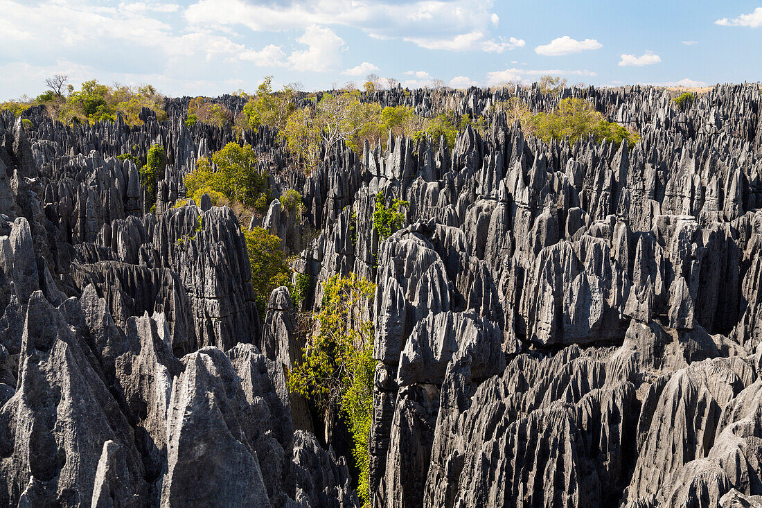 Tsingy-de-Bemaraha National Park, Mahajanga, Madagascar, Africa