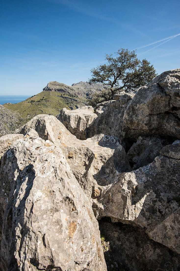 Tramuntana Gebirge, Nähe Soller, Serra de Tramuntana, Mallorca, Spanien