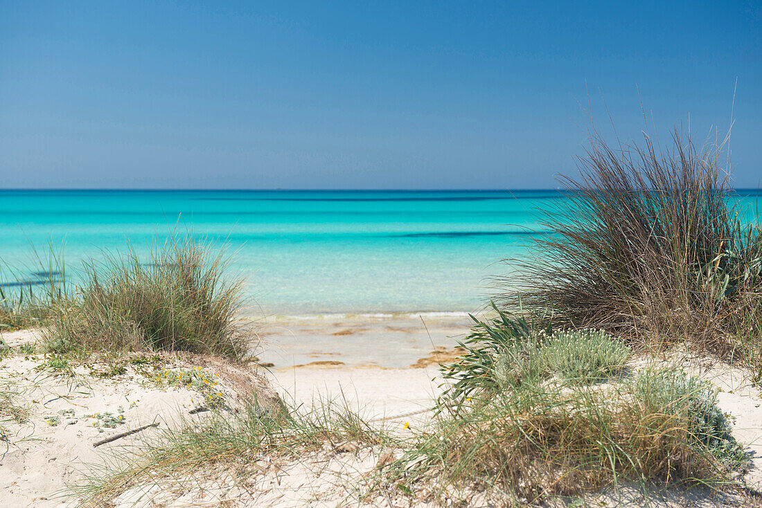 Es Trenc, near Santanyi, Majorca, Spain