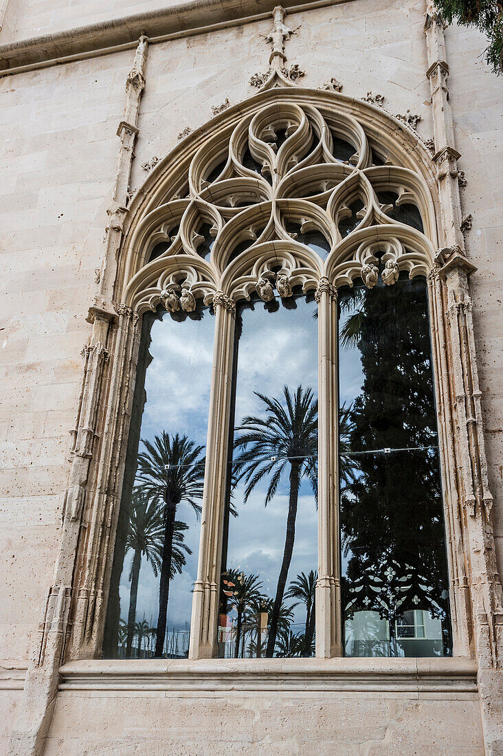 Gothic facade with reflection of palm trees in the historic part of Palma de Mallorca, Majorca, Spain