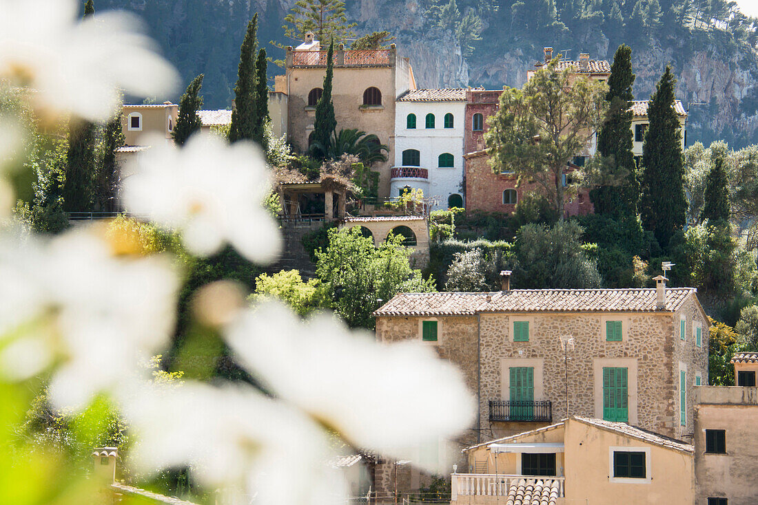 Estellencs, Mallorca, Spanien