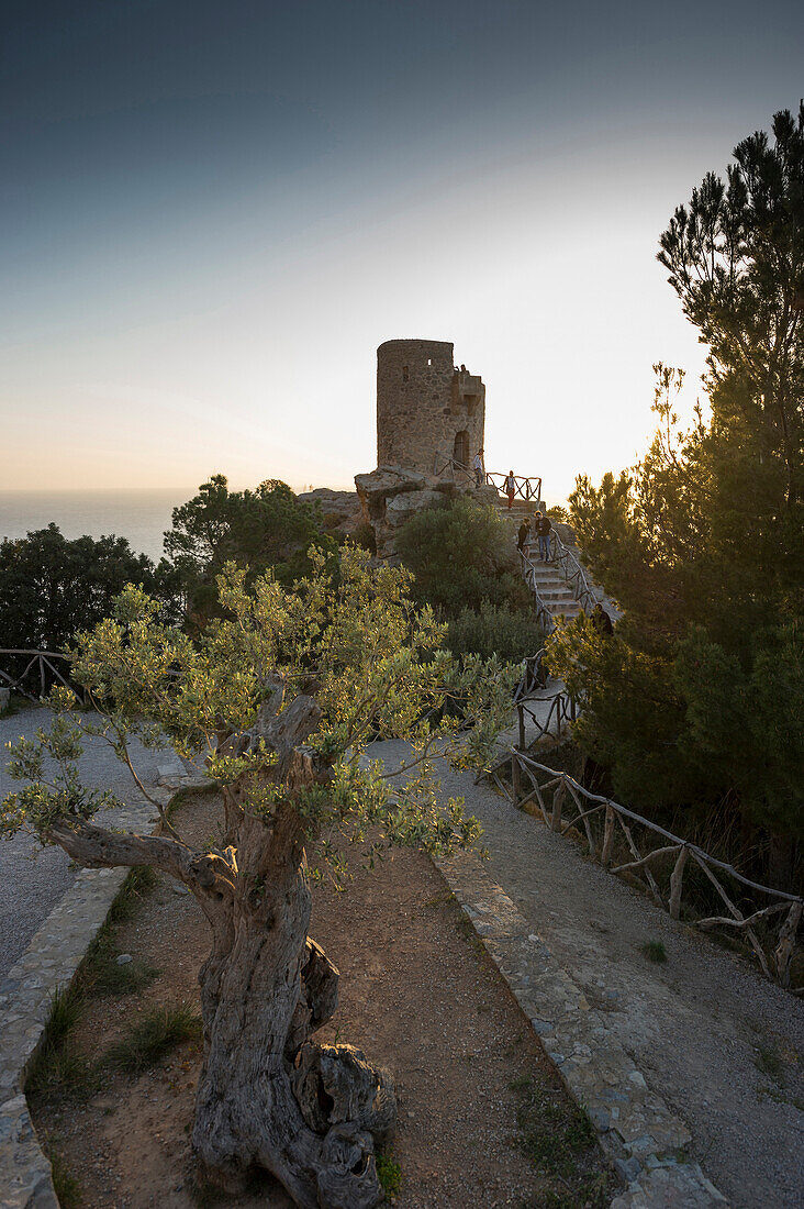 Medieval watchtower, Torre Talaia de Ses Animes, Banyalbufar, Majorca, Spain