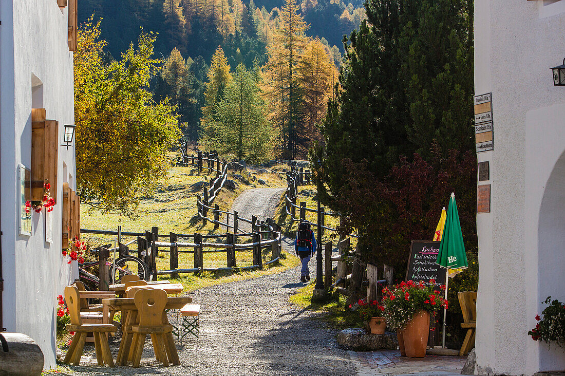 Weg führt aus Bergdorf S-charl, Scuol, Engadin, Kanton Graubünden, Schweiz