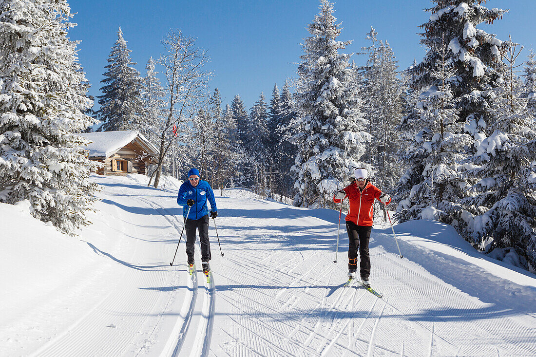 Two cross-country skiers, Gantrisch area, Berner Oberland, Canton of Bern, Switzerland