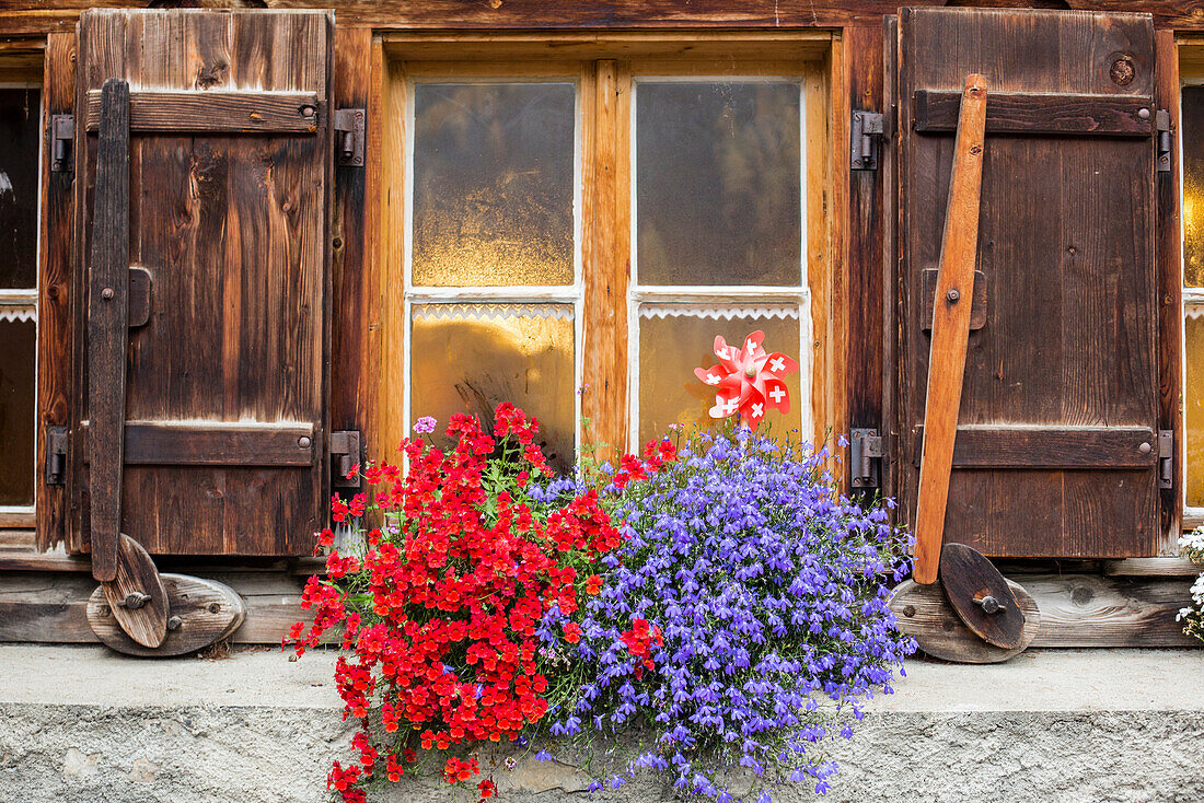 Flowers in front of window, Cluozza hut, Swiss National Park, Canton of Grisons, Switzerland