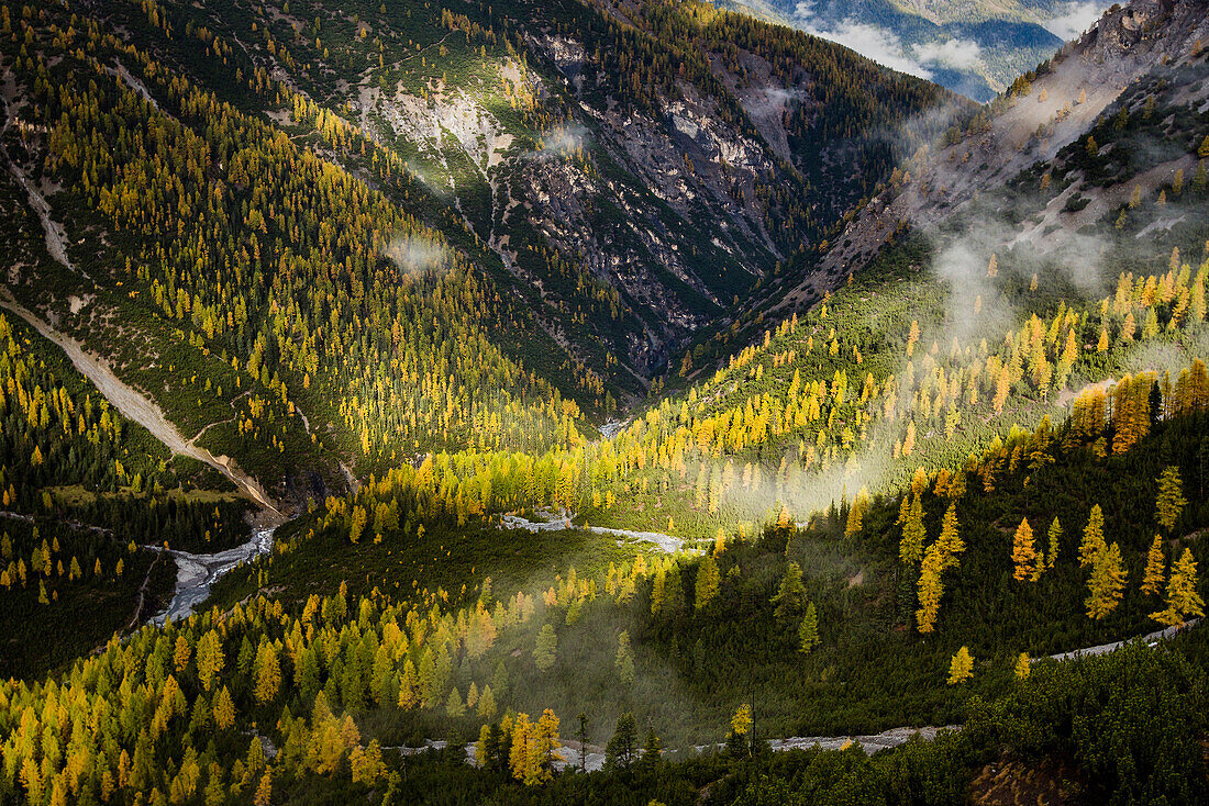 Blick über Val Cluozza im Herbst, Schweizerischer Nationalpark, Kanton Graubünden, Schweiz