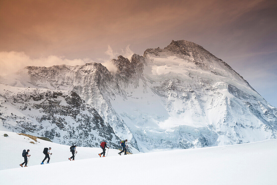 Gruppe Skifahrer beim Aufstieg von Zermatt zur Schönbielhütte, Dent d Herens im Hintergrund, Kanton Wallis, Schweiz