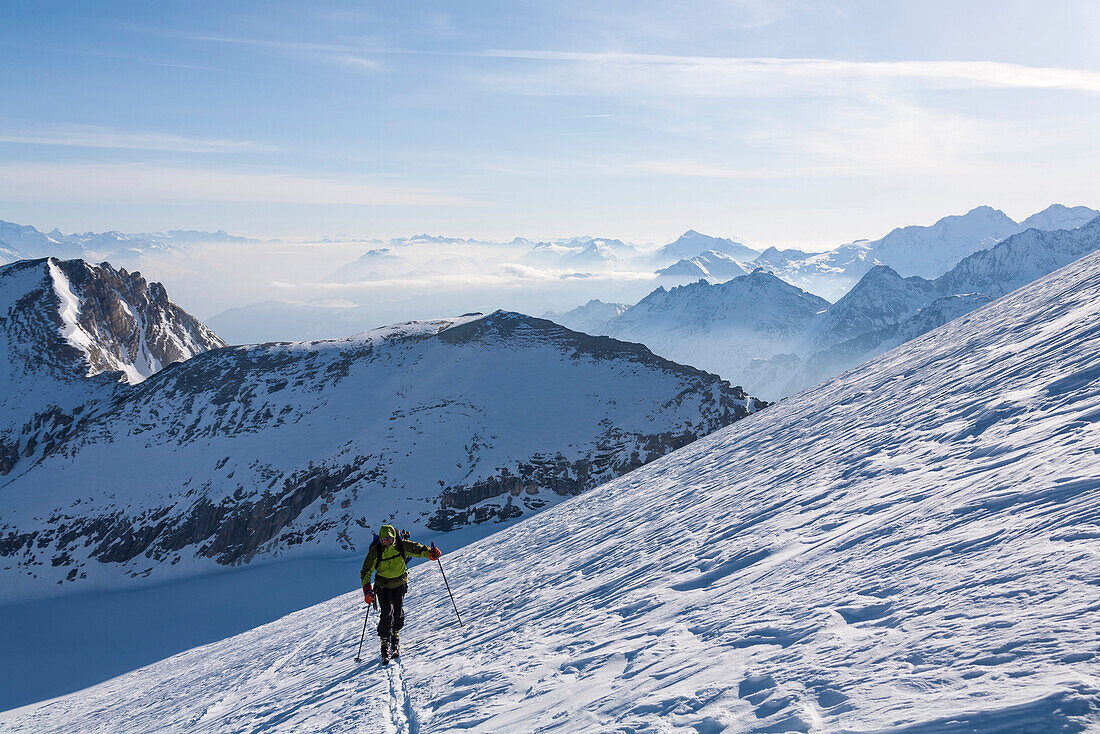 Skier ascending over Turtmann glacier to mount Bishorn, Turtmann valley, Canton of Valais, Switzerland