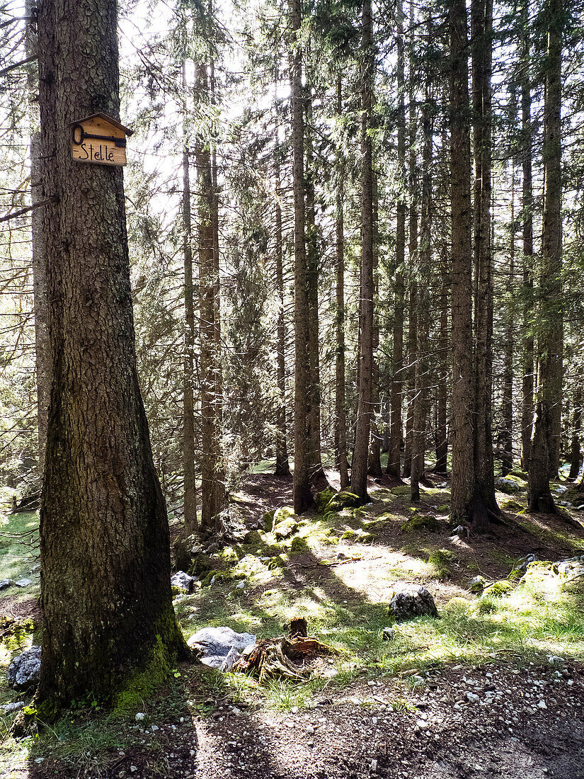 Schild Schlüsselstelle im Wald, Eschenlohe, Bayern, Deutschland