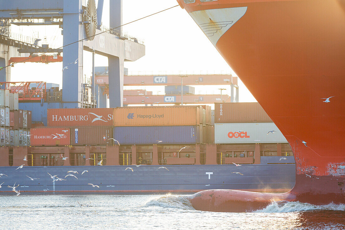 Ship travelling through the container terminal Altenwerder, Hamburg, Germany