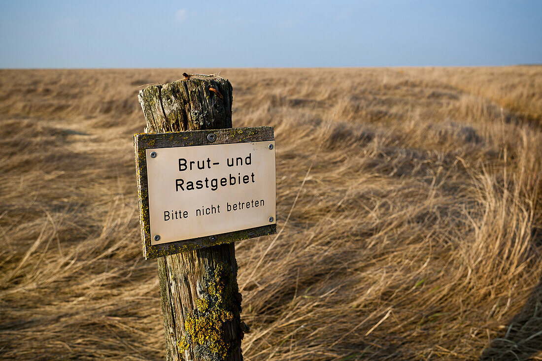 Hinweisschild auf Brut- und Rastgebiet Westerhever, an den Salzwiesen beim Westerhever Leuchtturm im Nationalpark Schleswig-Holsteinisches Wattenmeer, Hamburg, Deutschland