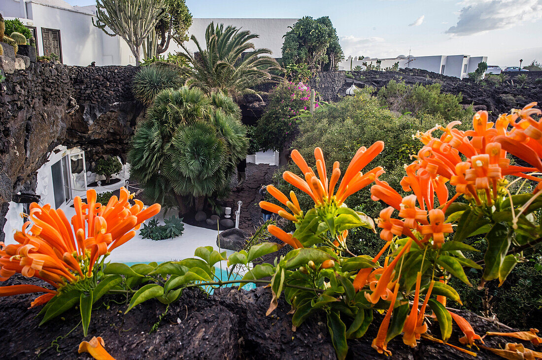 Casa Cesar Manrique, Museum of the Manrique Foundation, Garden, Lanzarote, Canary Islands, Spain