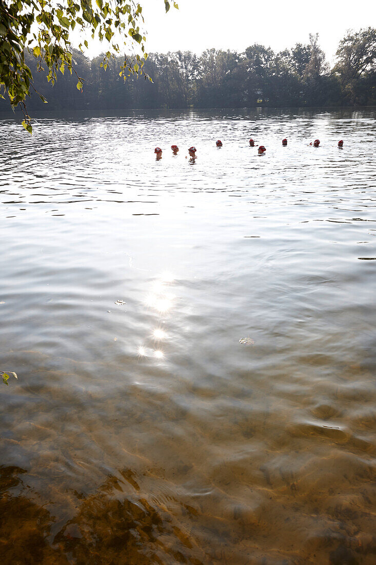 Competitive swimmers training in open water, Boberg swimming lake, Billwerder, Hamburg, Germany