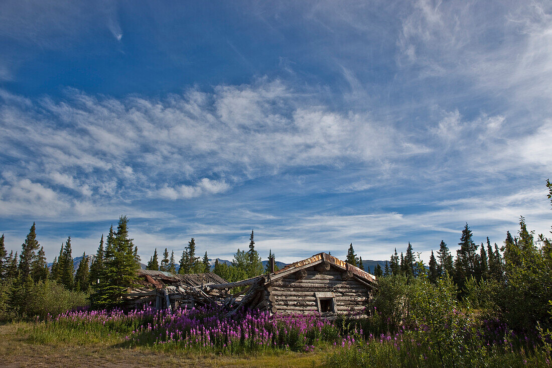 The old homestead at Silver City along the shores of Kluane Lake, Yukon, Canada