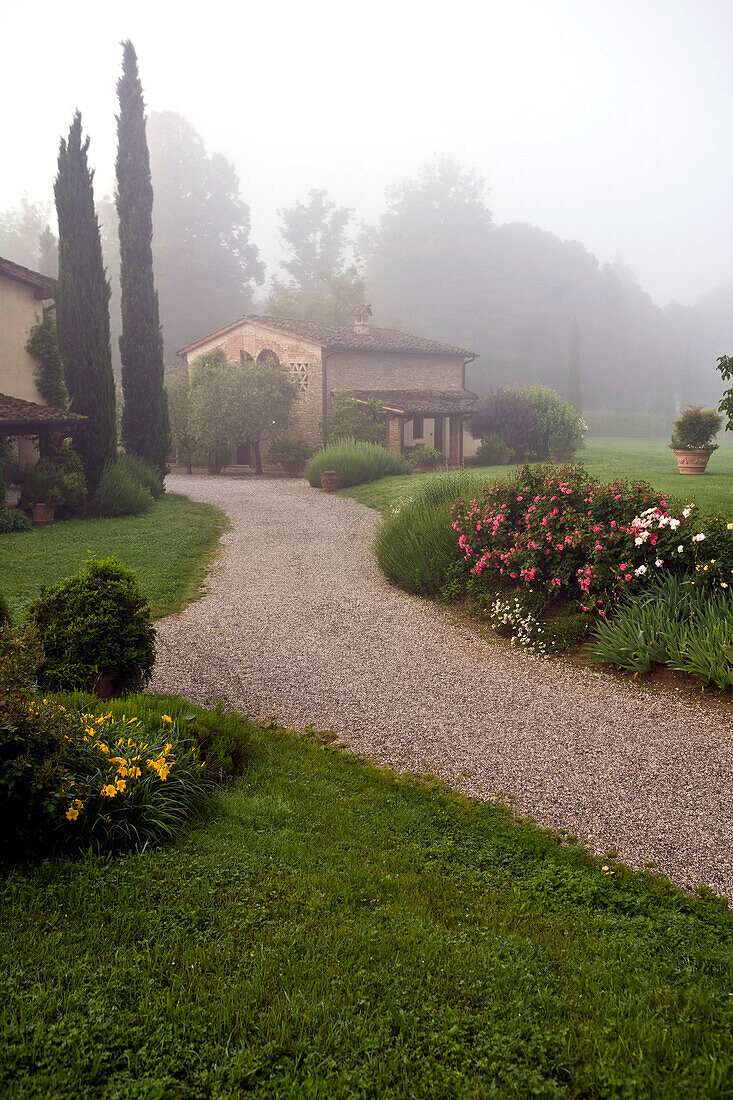 Italy, Tuscany, Foggy garden