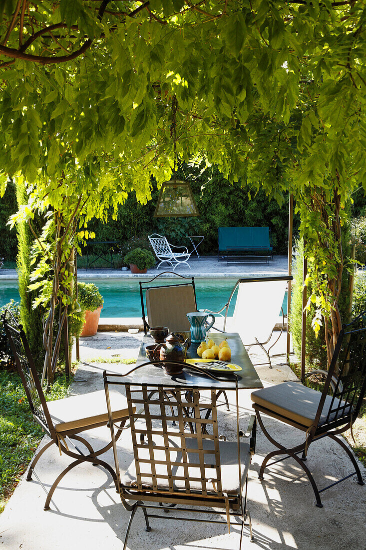 Terrace of a villa with a laid table under a wisteria tree