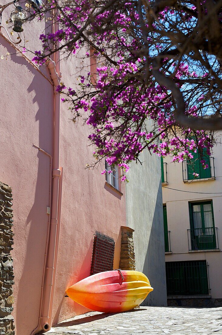 France, Lanquedoc Roussillon, Collioure, Canoe in the street