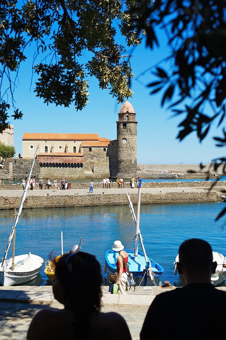 France, Lanquedoc Roussillon, Collioure, the marina port