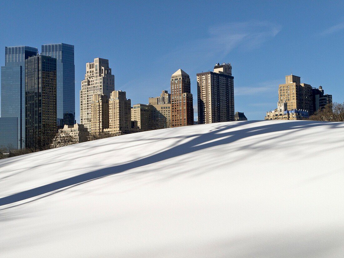 USA, New York City, Central Park covered with snow