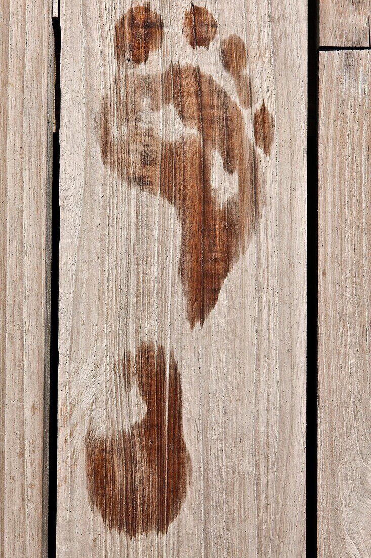 Footprint on wooden plank floor