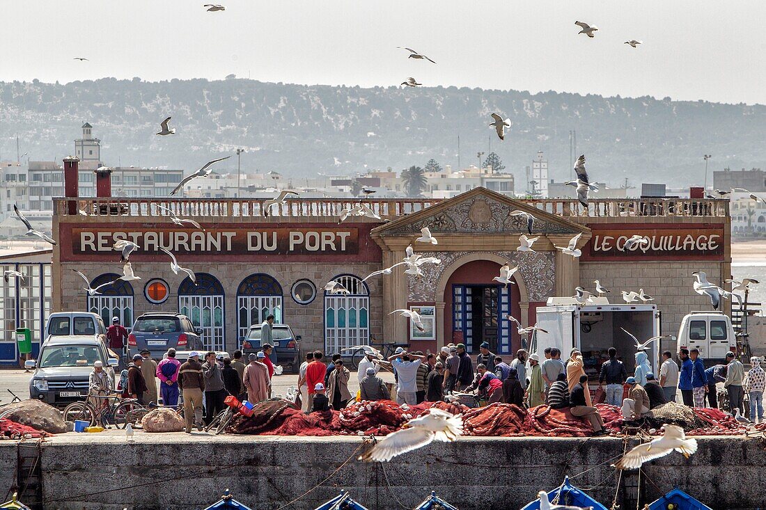 Kingdom of Morocco, Essaouira, Fishing Port