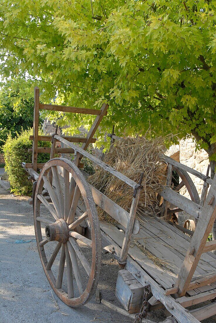 France, Aveyron department, a wood cart