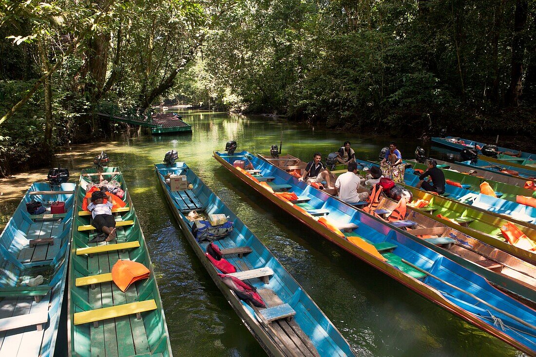 Malaysia, Bornéo, Sungai Melinau Paku, Pirogues