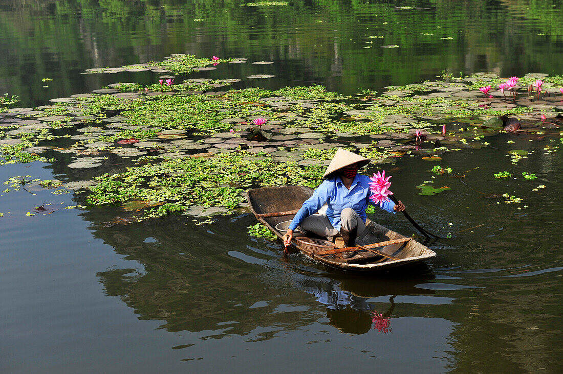 woman in boat holding water lily near Tam Coc, North Vietnam, Vietnam, South East Asia, Asia