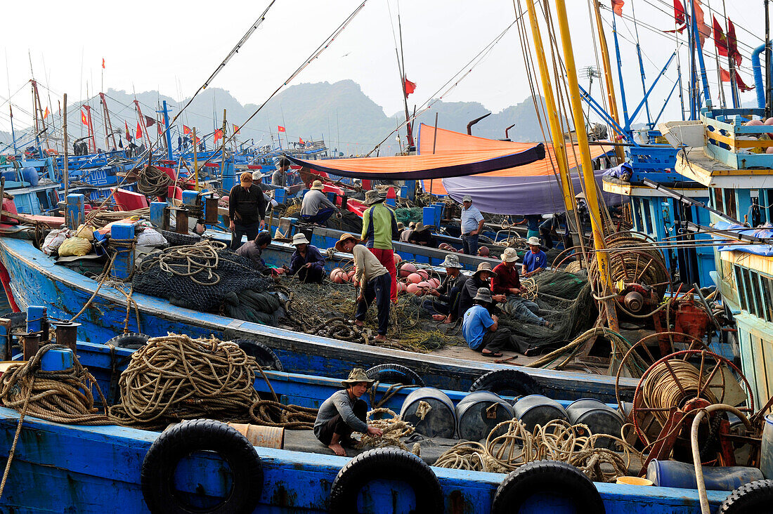 Fishing boats at Cat Ba harbor, Cat Ba Island, Halong Bay, North Vietnam, South East Asia, Asia