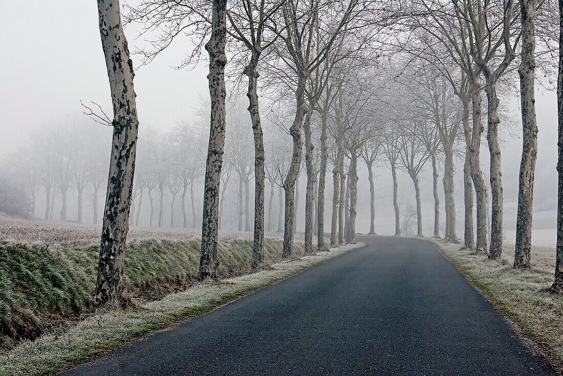 France, Aveyron, road landscape in winter, rougier Camares