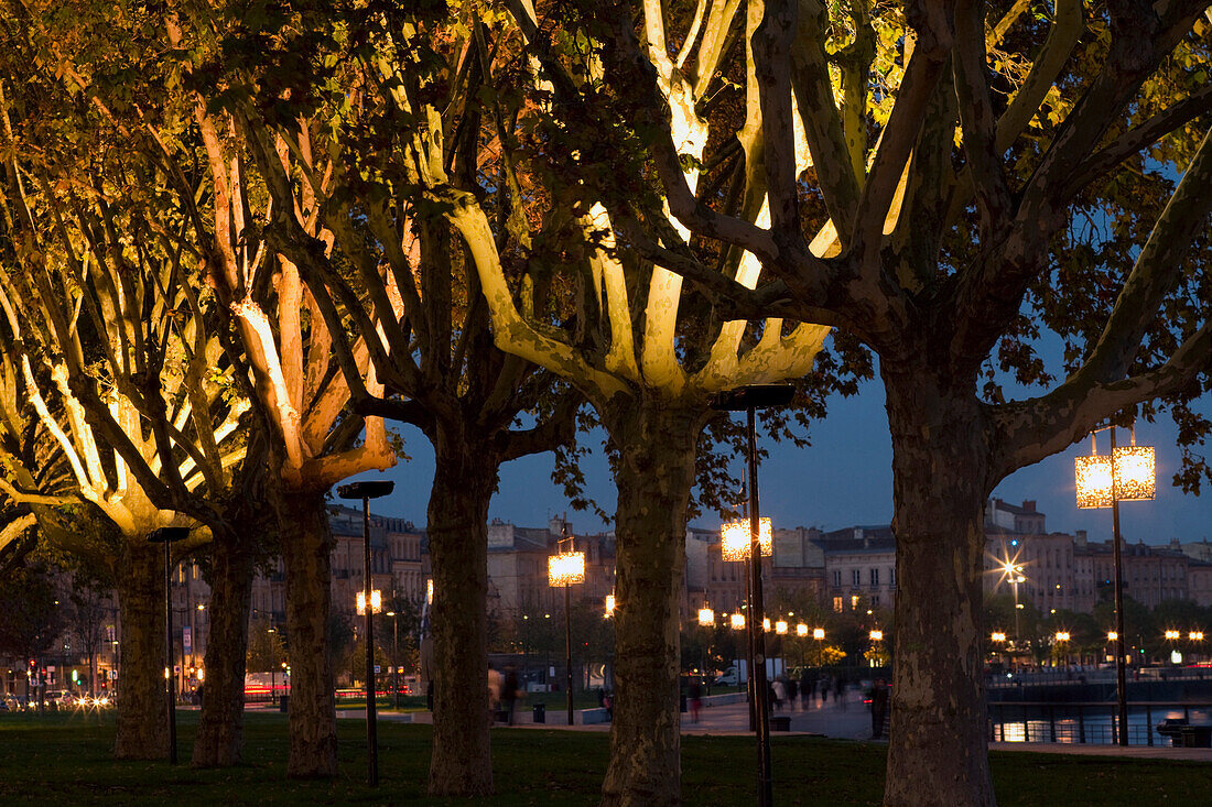 France, Bordeaux, Southwestern France, Aquitaine, Quai Louis XVIII at night