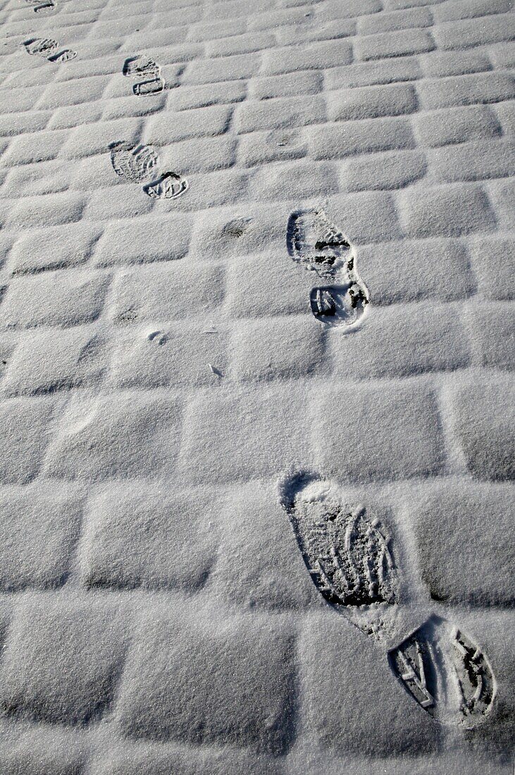 Footprints in snow. Saint Petersburg. Russia.