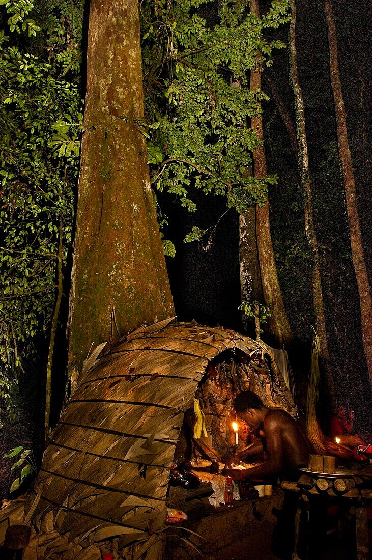 Africa, Gabon, Mboka A Nzambe village, Bwiti ceremonies, Forest, the shaman Adumangana makes his medical mixing