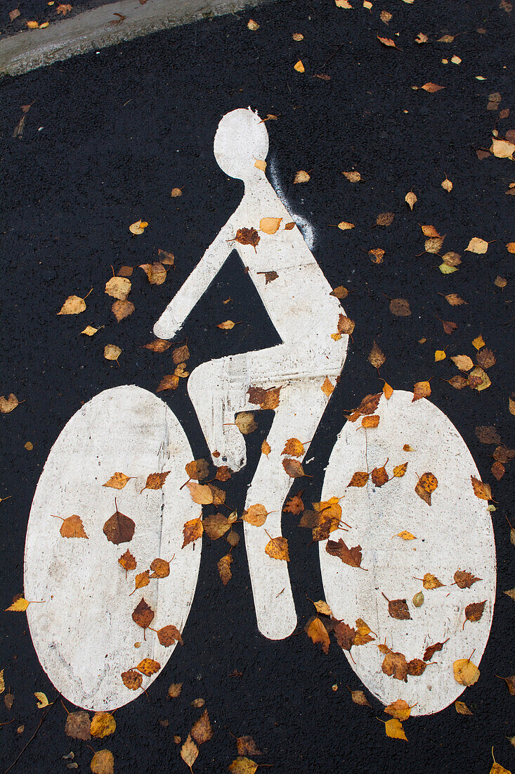 Road-marking of a cycle track in autumn.
