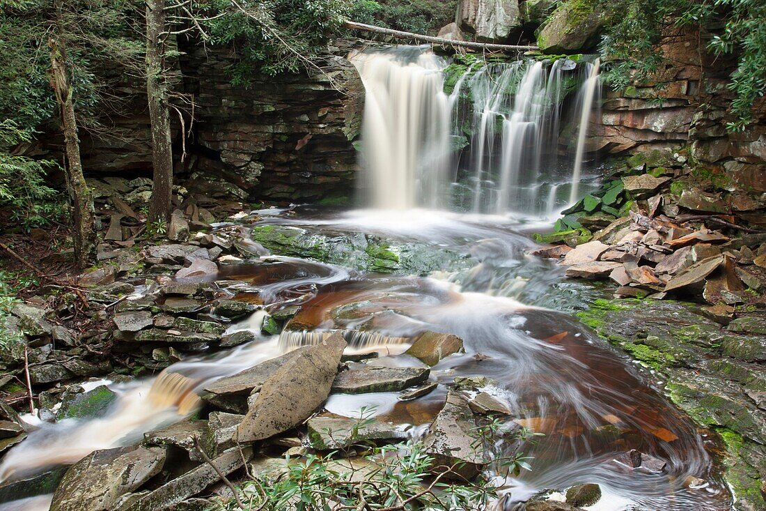 ELAKALA WATERFALLS BLACKWATER FALLS STATE PARK WEST VIRGINIA USA