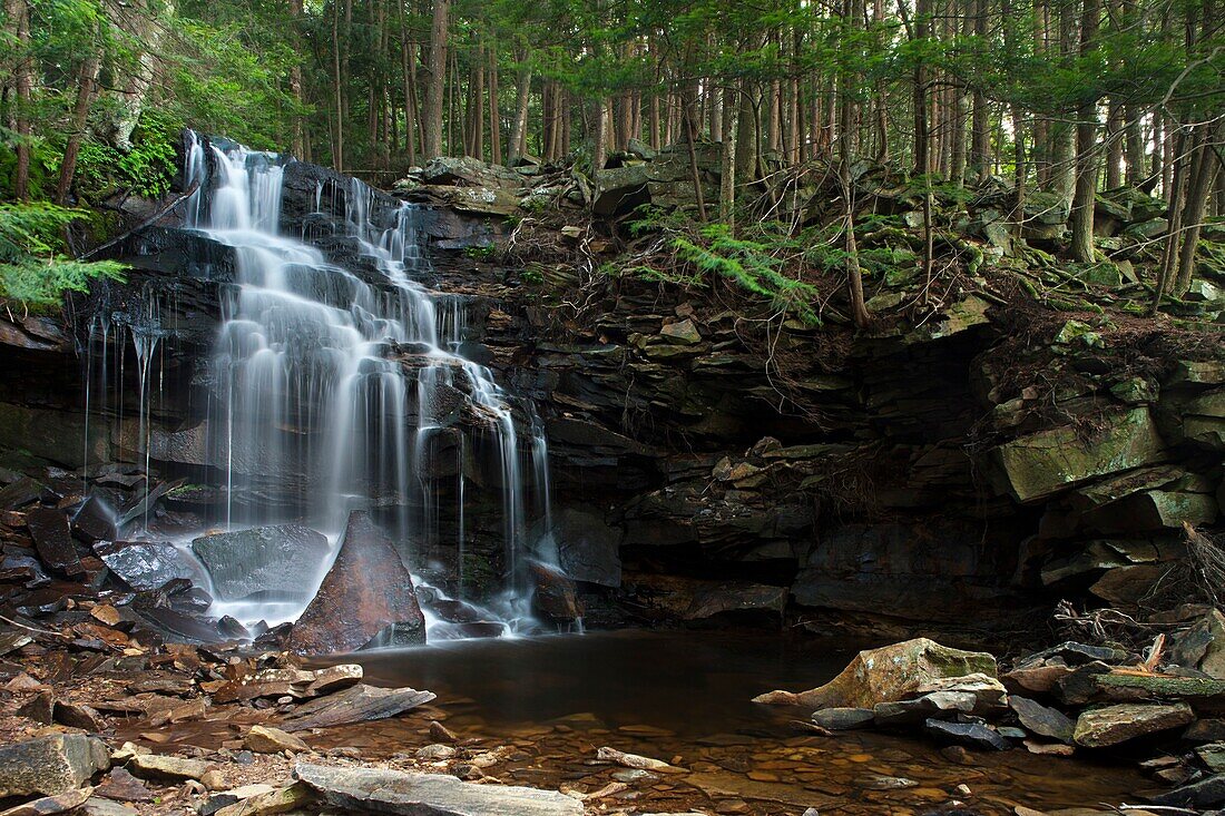 DUTCHMAN WATERFALLS LOYALSOCK CREEK, LOYALSOCK STATE FOREST SULLIVAN COUNTY PENNSYLVANIA USA