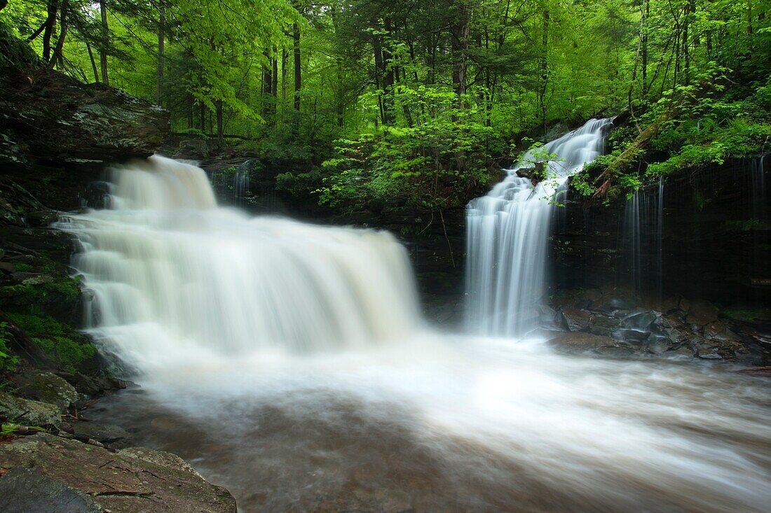 SPRINGTIME TORRENT R B RICKETTS WATERFALL KITCHEN CREEK RICKETTS GLEN STATE PARK LUZERNE COUNTY PENNSYLVANIA USA