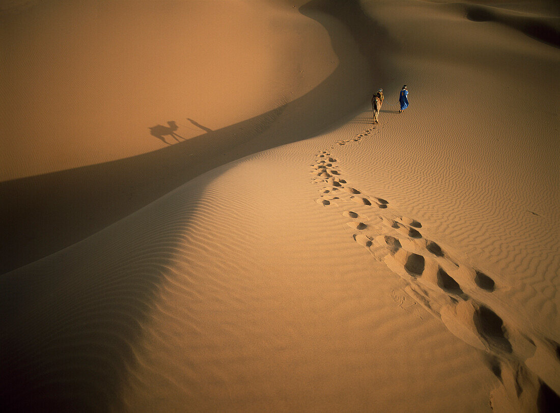 Blue man and camel walking up dune in the desert, Tinfou near Zagora, Morocco