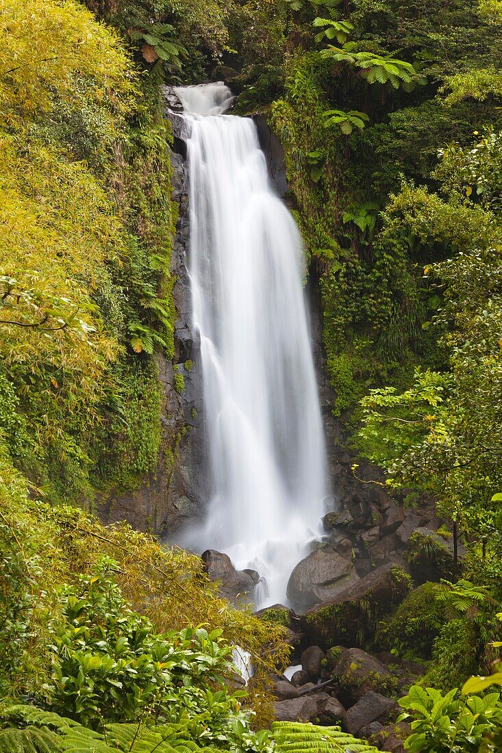 Dominica, Roseau, Roseau Valley, Trafalgar Falls