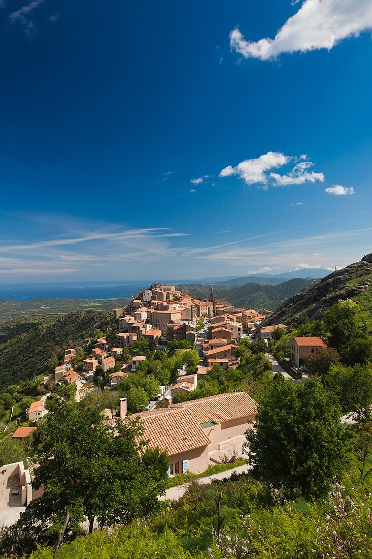 France, Corsica, Haute-Corse Department, La Balagne Region, Speloncato, elevated town view