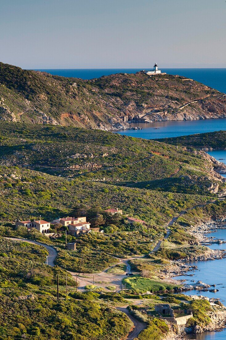 France, Corsica, Haute-Corse Department, La Balagne Region, Calvi, elevated view of the Punta Revellata lighthouse, dawn